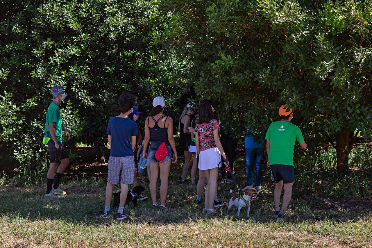 Santa Eliza Eco Resort Ribeirão Bonito エクステリア 写真