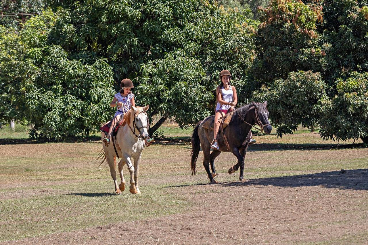 Santa Eliza Eco Resort Ribeirão Bonito エクステリア 写真